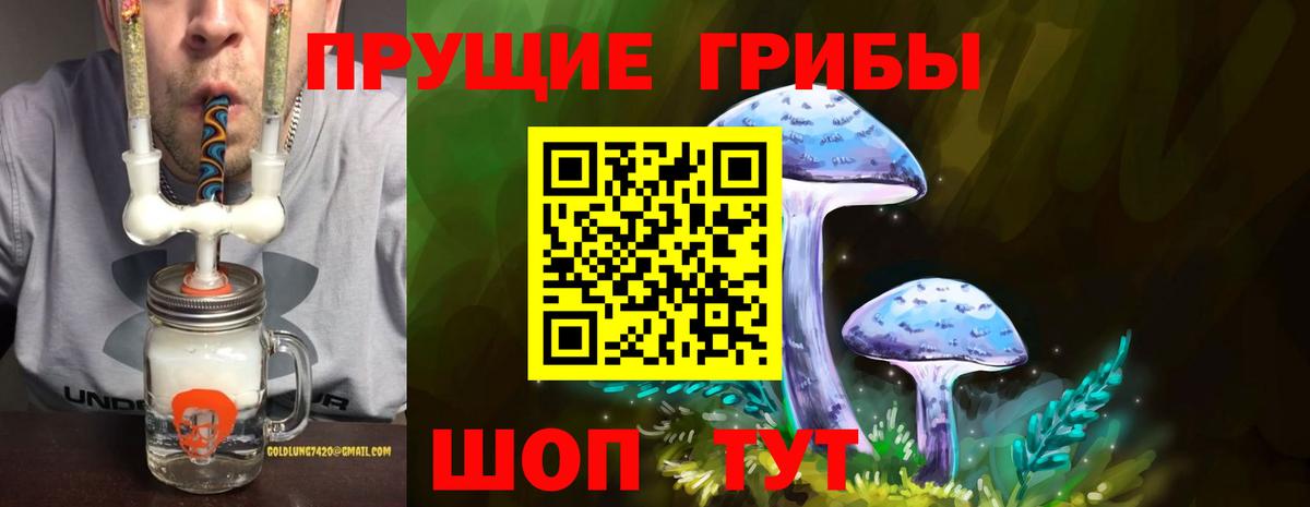 Каменск-Шахтинский  Псилоцибиновые грибы GOLDEN TEACHER  Вход с VPN 